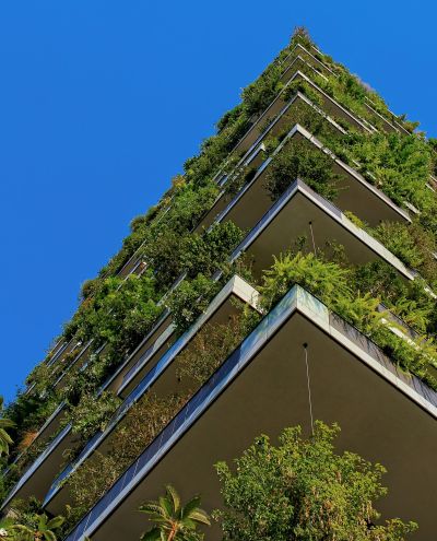 Environmental Sustainability